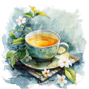12 Clipart Jasmine Tea, Clipart tazza da tè, clipart acquerello stampabile, JPG di alta qualità, download digitale, artigianato di carta, diario spazzatura