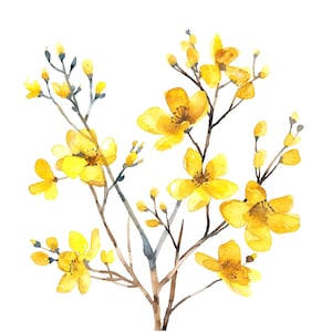 8 lentebloemen clipart, gele bloemen, afdrukbare aquarel clipart, hoge kwaliteit PNG/JPGs, digitale download, Paper Craft, ongewenste tijdschriften