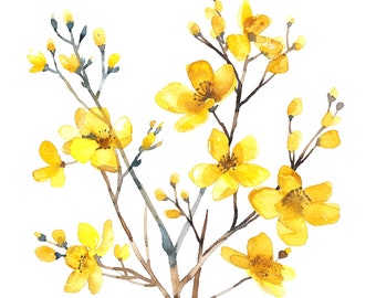 8 cliparts fleurs de printemps, fleurs jaunes, clipart aquarelle imprimable, fichiers JPG de haute qualité, téléchargement numérique, créations en papier, journaux indésirables