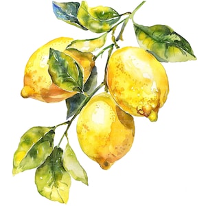 May include: Watercolor painting of a lemon branch with three yellow lemons and green leaves.