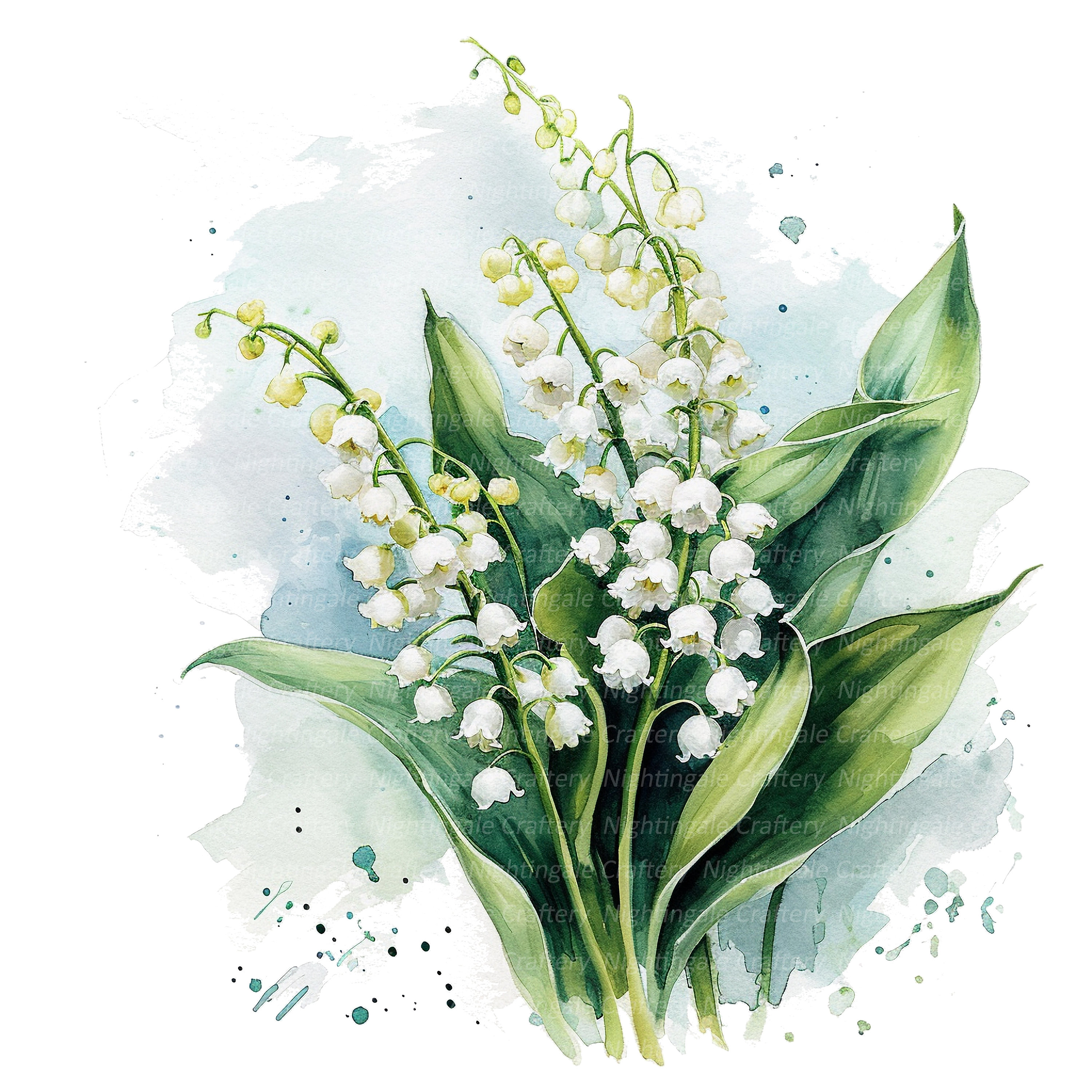 Lily of the Valley Art Print – The Illustrated Life