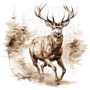 11 Red Deer Clipart, Sepia Filter Clipart, druckbare Aquarell Clipart, hochwertige JPGs, digitaler Download, Papiermodell, Junk Journals