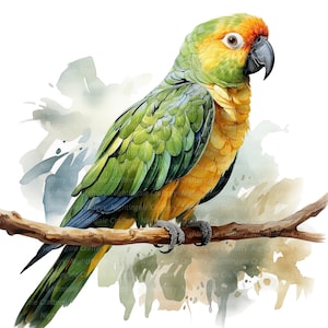 May include: Watercolor illustration of a colorful parrot perched on a branch. The bird features green, yellow, orange, and blue plumage, with a black beak and detailed claws. The artwork has a soft, artistic style with watercolor effects.