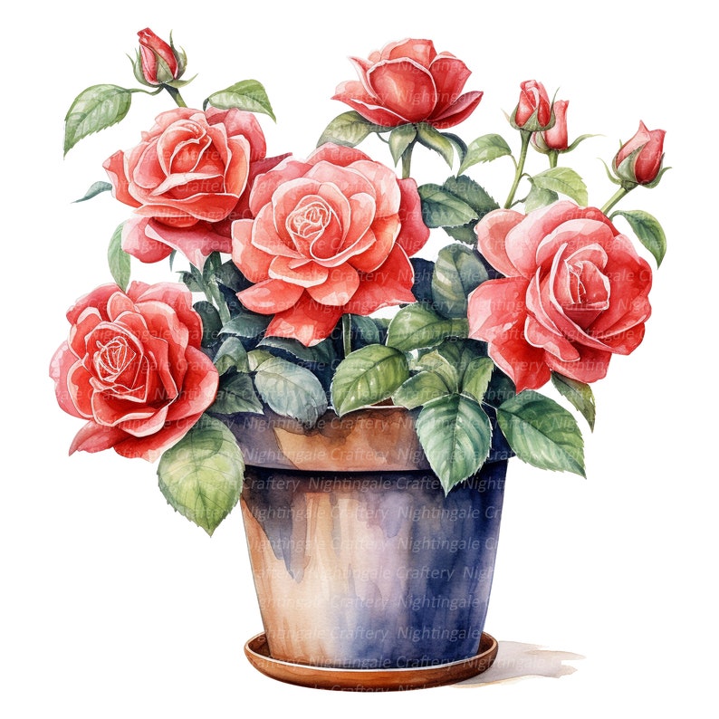 10 Roses in Pot Clipart, Pink Roses, Printable Watercolor Clipart ...