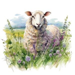May include: A white sheep with a fluffy coat stands in a field of green grass and purple wildflowers. The sheep is looking directly at the viewer with a gentle expression.