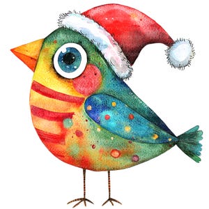 12 pájaros caprichosos, imágenes prediseñadas navideñas, imágenes prediseñadas digitales, imágenes prediseñadas de acuarela, archivos JPG de alta calidad, imágenes prediseñadas imprimibles, descarga digital, manualidades