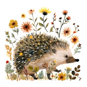 10 Floral Hedgehog Cartoon Clipart, Cartoon Hedgehog, Printable Watercolor clipart, High Quality JPG, Digital download, Paper craft, journal