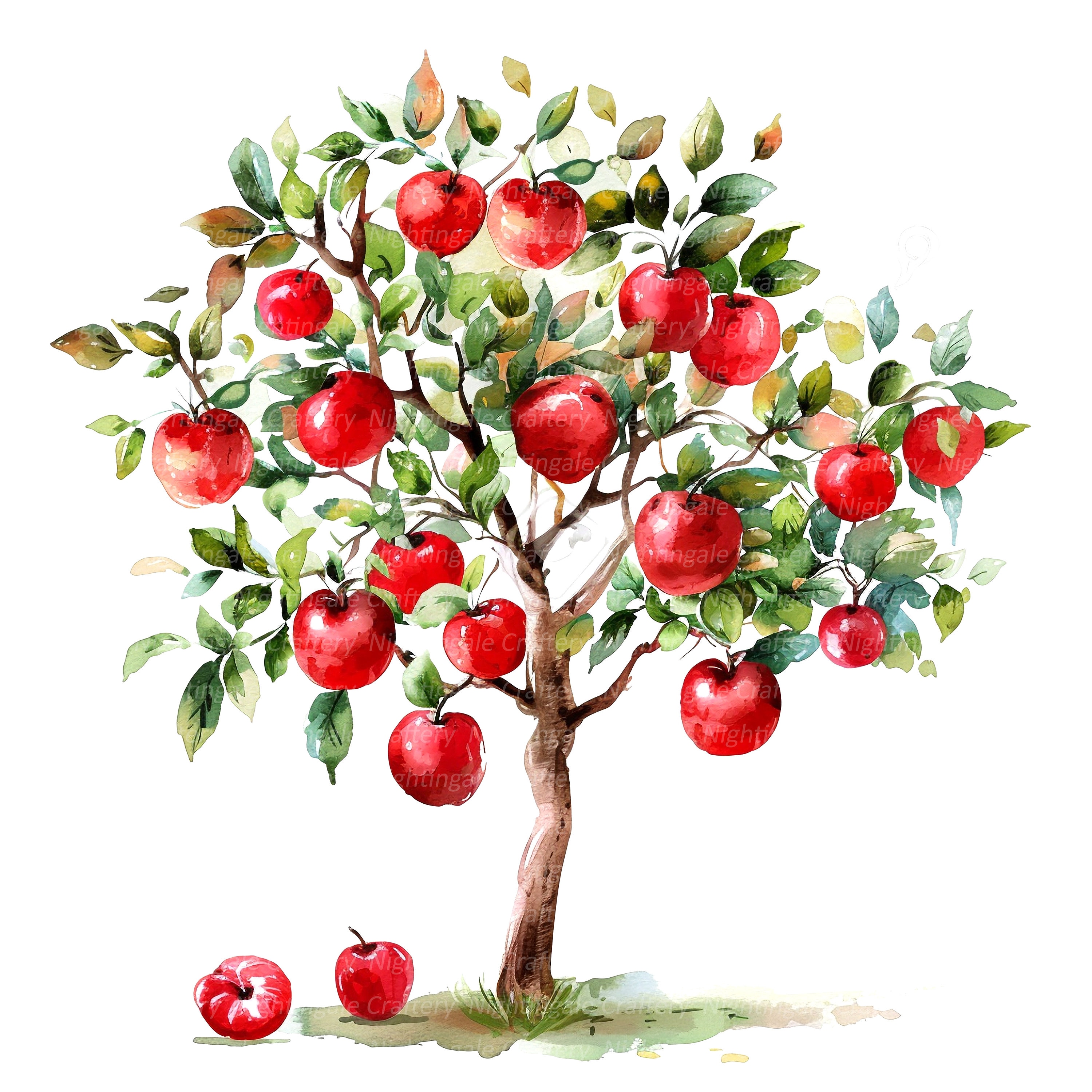 9 Apple Tree Clipart, Appletree Clipart, Apple, Printable Watercolor ...