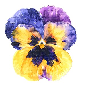 8 Purple Pansy Clipart, Abstract Pansy Flowers, Printable Watercolor clipart, High Quality JPGs, Digital download, Paper craft, junk journal