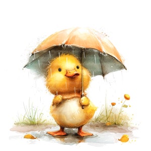 10 Duckling in Rain Clipart, Duckling Rainy, Printable Watercolor ...