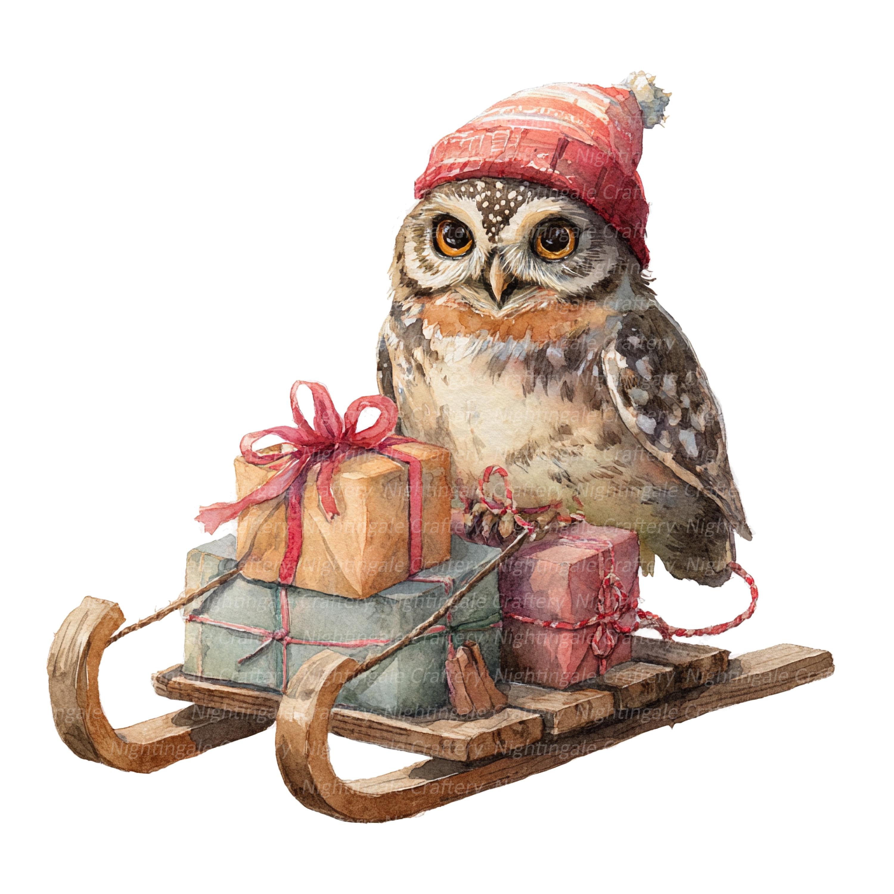 8 Christmas Gifts Clipart, Owl, Christmas Card, Printable Watercolor clipart, High Quality JPGs, Dig