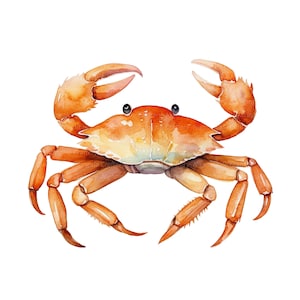 10 imágenes prediseñadas de animales marinos para guardería, imágenes prediseñadas de acuarela imprimibles, PNG/JPG de alta calidad, descarga digital, manualidades de papel, revistas basura