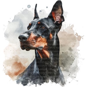 10 cliparts chien Doberman, Dobermann aquarelle, clipart aquarelle imprimable, PNG de haute qualité, téléchargement numérique, créations en papier, journaux indésirables