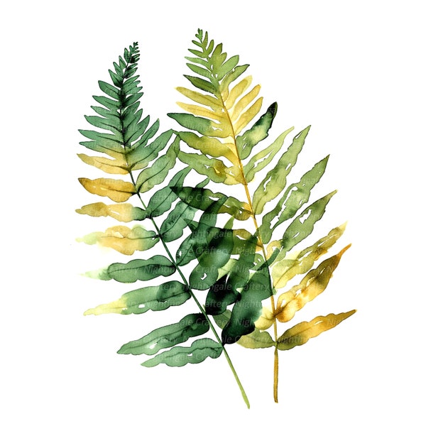 Watercolor Fern - Etsy