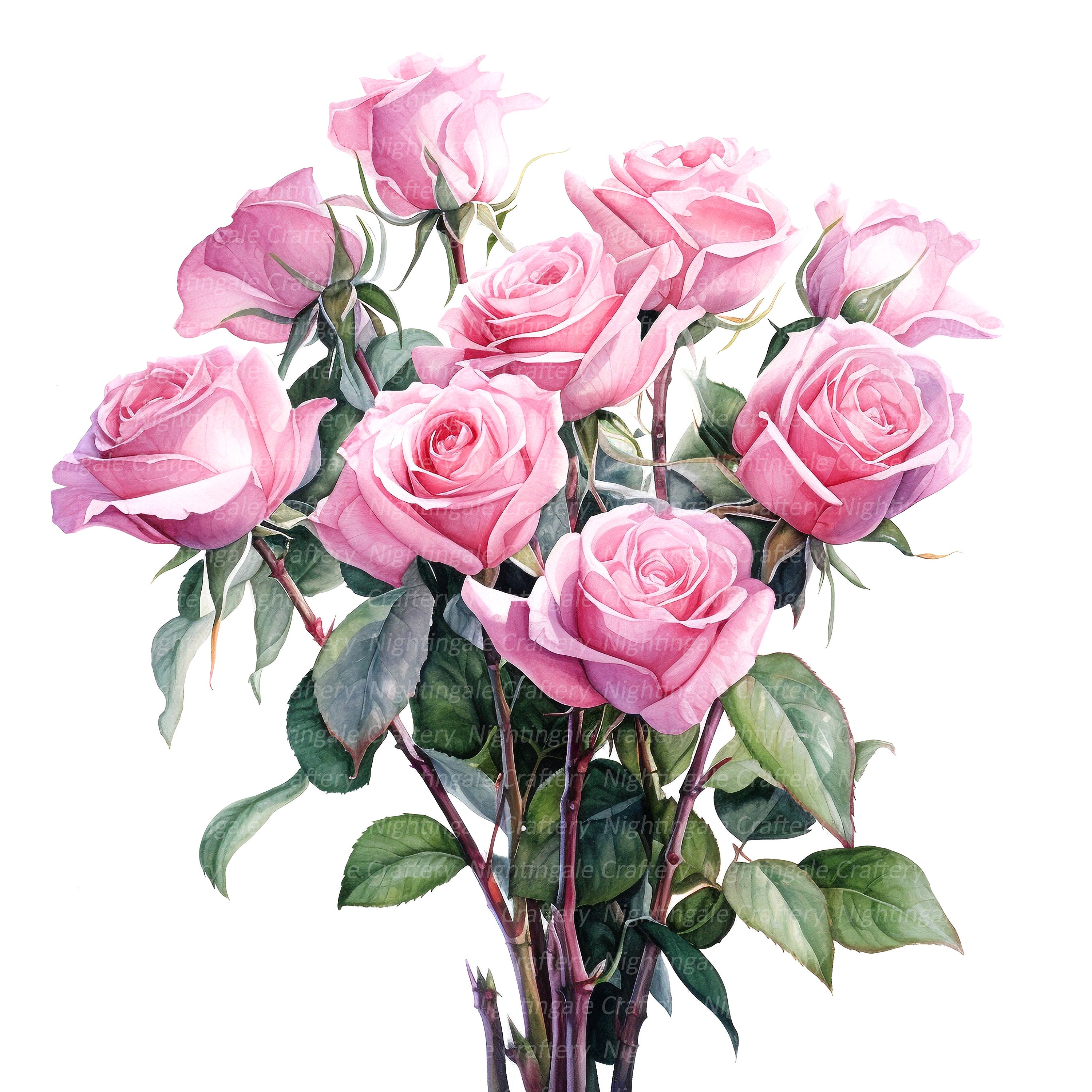 10 Pink Roses Long Stems Clipart, Roses Bouquet, Printable Watercolor ...