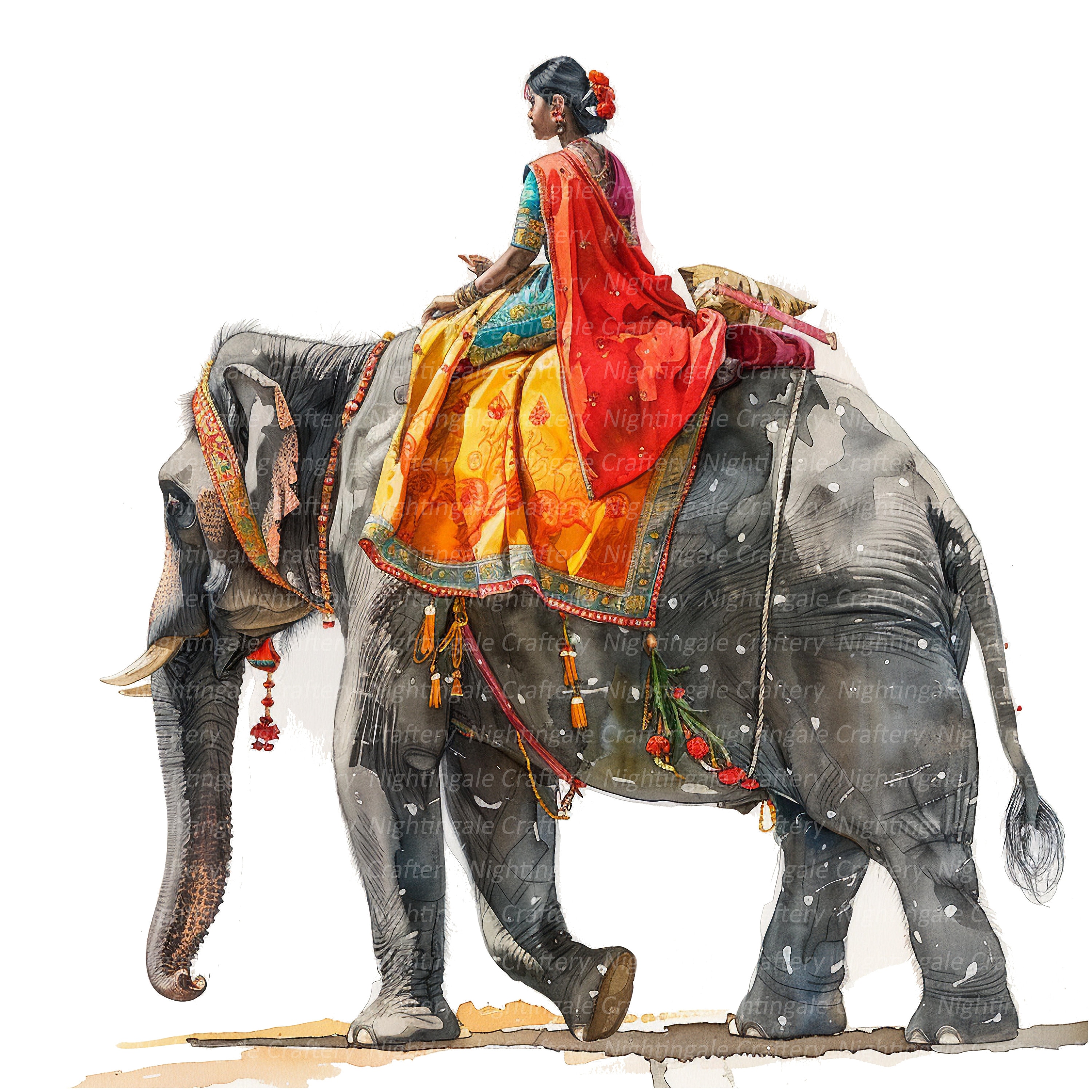 象に乗る女性 10 枚のイラスト、インド象、インド人女性、印刷可能な