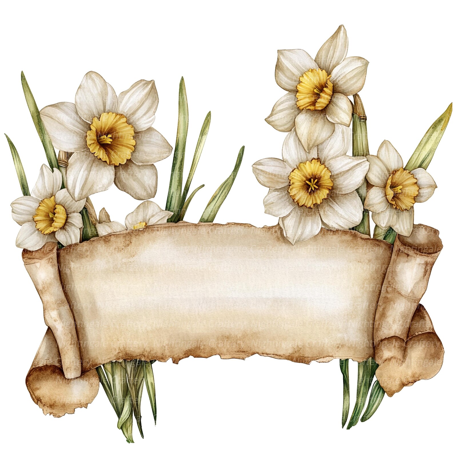 20 Spring Theme Scroll Clipart, Vintage Scroll, High Quality Jpgs ...