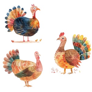 14 Cartoon Turkey Clipart, Thanksgiving Day, Printable Watercolor clipart, High Quality JPGs, Digital download, Paper craft, Junk Journal