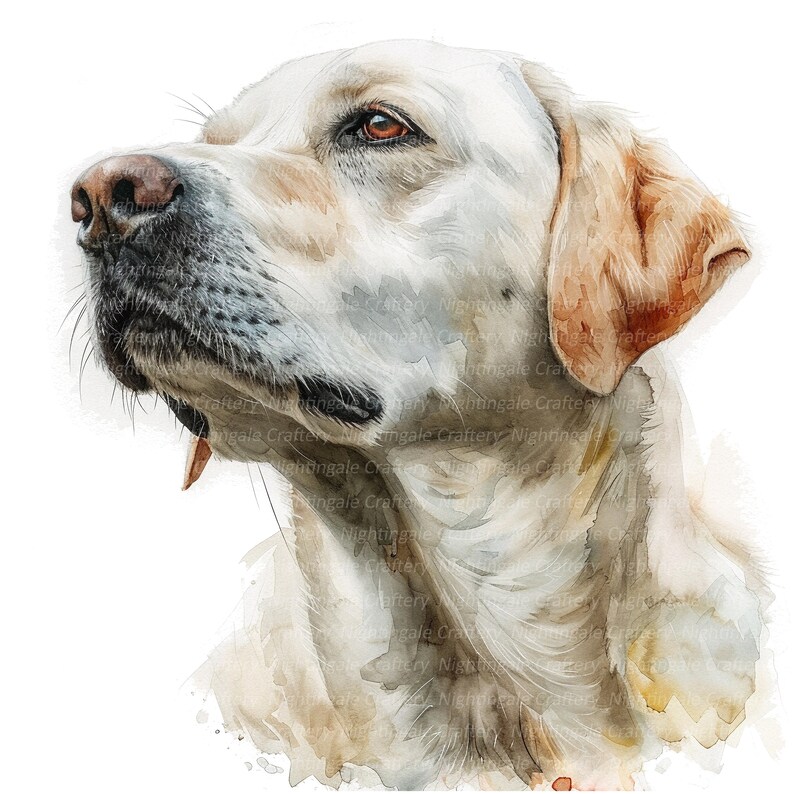 May include: Watercolor painting of a white Labrador Retriever dog with brown ears, looking up and to the left. The dog's fur is painted with soft, blended strokes, creating a realistic and detailed portrait.