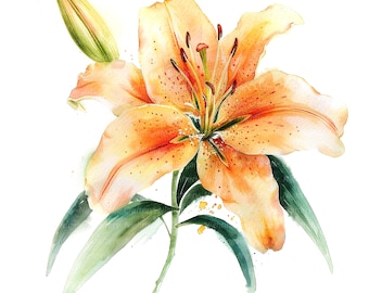 May include: A watercolor painting of a single orange lily with green leaves. The lily has orange petals with brown spots and a yellow center.