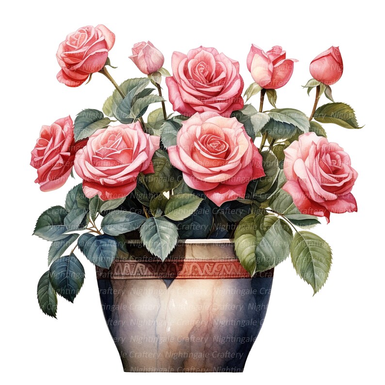 10 Roses in Pot Clipart, Pink Roses, Printable Watercolor Clipart ...