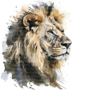 K&ouml;nnte beinhalten: Ein Aquarellbild eines L&ouml;wenkopfes mit einer braunen und braunen M&auml;hne. Der L&ouml;we schaut nach rechts und hat einen ernsten Ausdruck. Der Hintergrund ist ein wei&szlig;er Aquarellwasch mit Spritzern von Grau und Schwarz.