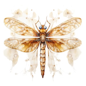 9 Clipart Golden Dragonfly, clipart acquerello stampabile, JPG di alta qualità, download digitale, alta risoluzione, mestiere di carta, diario spazzatura