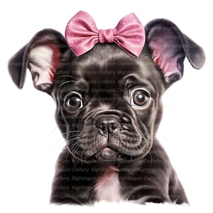 12 Französische Bulldogge mit Schleife Clipart, Hundeschleife, druckbare Aquarell Clipart, hochwertige JPGs, digitaler Download, Papiermodell, Junk Journal
