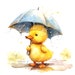 10 Duckling in Rain Clipart, Duckling Rainy, Printable Watercolor ...