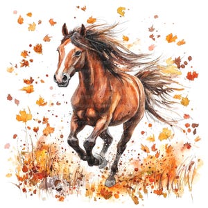 12 clipart de cavalo no outono, cavalo correndo, clipart em aquarela para impressão, JPGs de alta qualidade, download digital, sublimação, diários indesejados