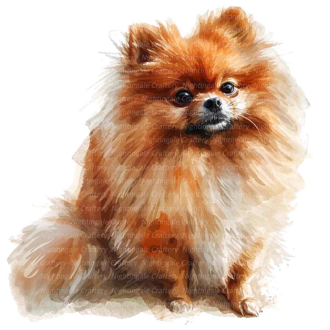 狼林（ROURIN）作　犬（ポメラニアン）の水彩画 2008年 il_1080xN.5845273098_1mdz.jpg