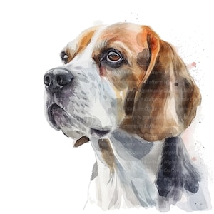 10 Beagle Dog Clipart, Watercolor Beagle, Printable Watercolor clipart, High Quality JPGs, Digital download, Paper craft, junk journals