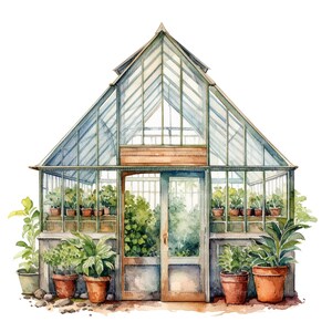 Puede incluir: Una pintura de acuarela de un invernadero de vidrio verde con una puerta de madera y un estante de madera marr&oacute;n. El invernadero est&aacute; lleno de plantas verdes en macetas. Tambi&eacute;n hay plantas en macetas fuera del invernadero.