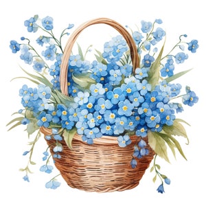 8 Clipart Forget Me Not, panier Forget-me-not, clipart aquarelle imprimable, fichiers JPG de haute qualité, téléchargement numérique, créations en papier, journal indésirable