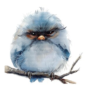 16 Grumpy Bird on Branch Clipart, Digital Clipart, Watercolor Clipart ...