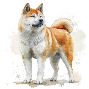 11 Akita Dog Clipart, Watercolor Akita, Printable Watercolor clipart, High Quality JPGs, Digital download, Paper craft, junk journals
