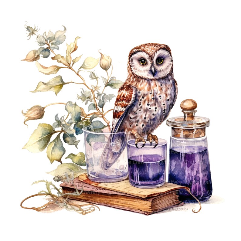 Washed Owl 14 Owl Apothecary Clipart, Witchcraft, Cute Owl, Printable Watercolor ...