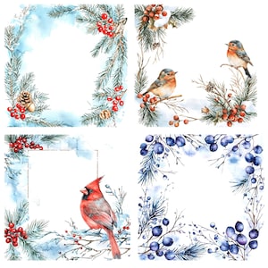 Op de afbeelding: Vier aquarel illustraties van winterse bloemframes met vogels. De linkerbovenste frame heeft dennentakken met rode bessen en een kardinaal. De rechterbovenste frame heeft dennentakken met rode bessen en een blauwe vogel. De linkeronderste frame heeft dennentakken met rode bessen en een kardinaal. De rechteronderste frame heeft dennentakken met blauwe bessen en een blauwe vogel.