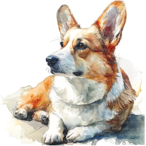 8 Welsh Corgi Dog Clipart, Watercolor Corgi, Printable Watercolor clipart, High Quality JPGs, Digital download, Paper craft, junk journals