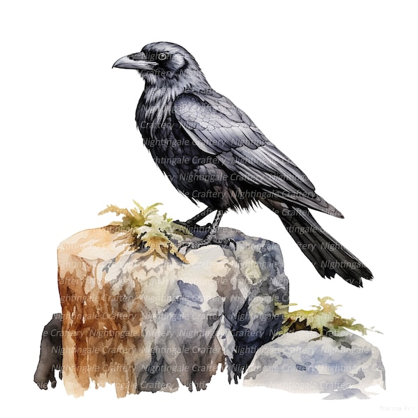 Common Raven Crow Clipart, Printable Watercolor clipart, 12 High Quality JPGs, Digital download, Paper craft, junk journals