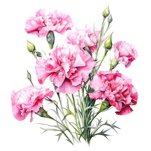 10 Clipart di garofani, Clipart di chiodi di garofano rosa, Clipart di acquerelli stampabili, JPG/PNG di alta qualità, Download digitale, Carta artigianale, diari spazzatura
