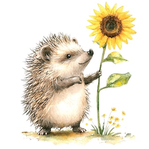 12 imágenes prediseñadas de girasol y erizo, erizo de dibujos animados, imágenes prediseñadas de acuarela imprimibles, PNG de alta calidad, descarga digital, manualidades de papel, sublimación