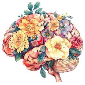 10 cliparts floraux de cerveau humain, cerveau anatomique, clipart aquarelle imprimable, fichiers JPG de haute qualité, téléchargement numérique, créations en papier, journaux