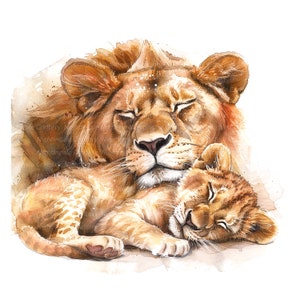 10 clipart de leões adormecidos, clipart de leões adoráveis, clipart em aquarela para impressão, JPGs de alta qualidade, download digital, artesanato em papel, diário
