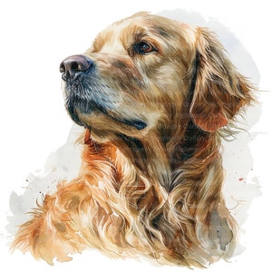 10 Golden Retriever Clipart, Aquarell Golden Retriever, druckbare Aquarell Clipart, hochwertige JPG / PNGs, digitaler Download, Papiermodell