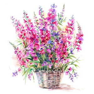 12 Vários clipart de Fireweed, buquê de Fireweed, clipart de aquarela para impressão, JPGs de alta qualidade, download digital, artesanato em papel, diário de lixo
