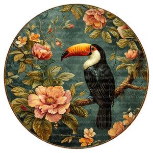9 Clipart de tucano floral, tucano vintage, clipart de aquarela para impressão, PNGs de alta qualidade, download digital, artesanato em papel, diários de lixo
