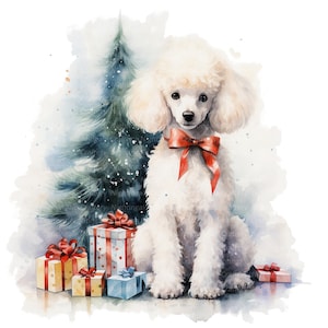 14 Clipart de Poodle de Natal, Pudel, Clipart de aquarela para impressão, JPG/PNGs de alta qualidade, Download digital, Artesanato em papel, diário de lixo