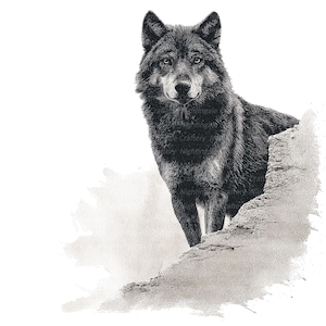 12 Tribal Wolf Clipart, Ink Art, Printable Stippling clipart, High Quality JPGs, Digital download, Paper crafts, junk journals, wall art