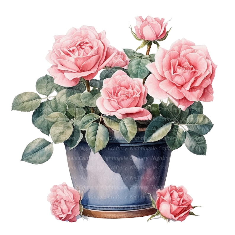 10 Roses in Pot Clipart, Pink Roses, Printable Watercolor Clipart ...